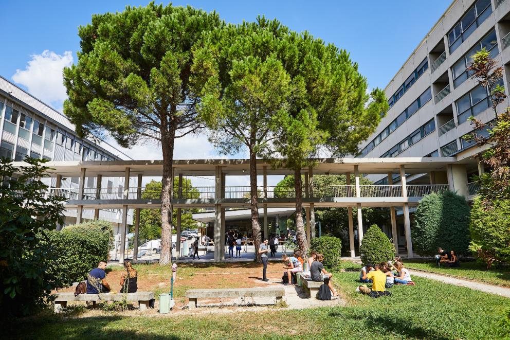 Campus Etoile (Saint-Jérôme et Château-Gombert) - Crédit : Jean Fondacci
