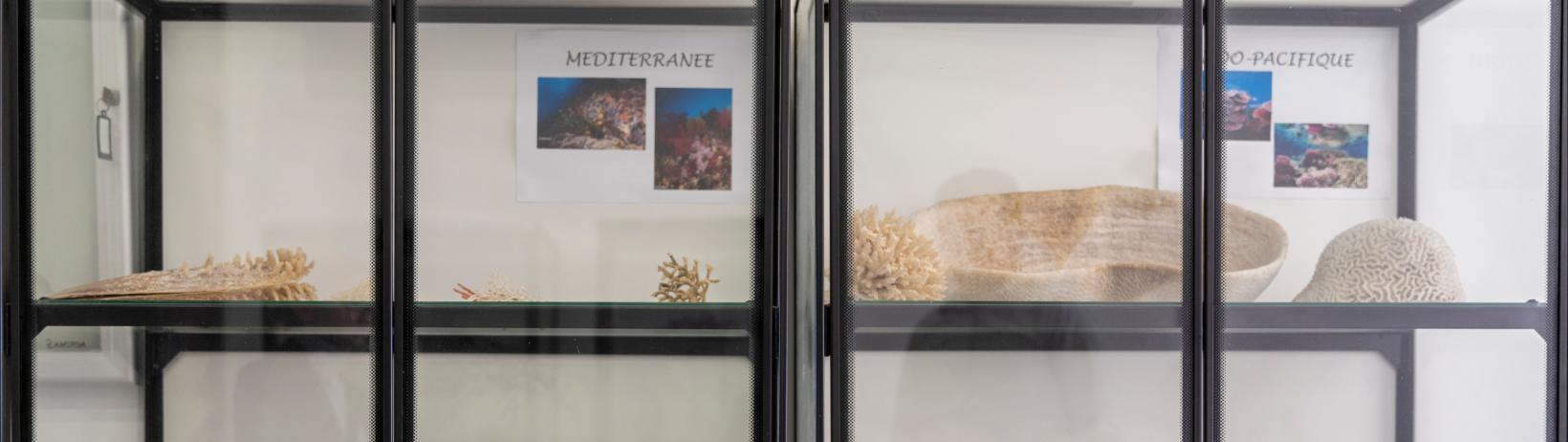 Institut Ocean Resources - Credit: Elea Ropiot amU