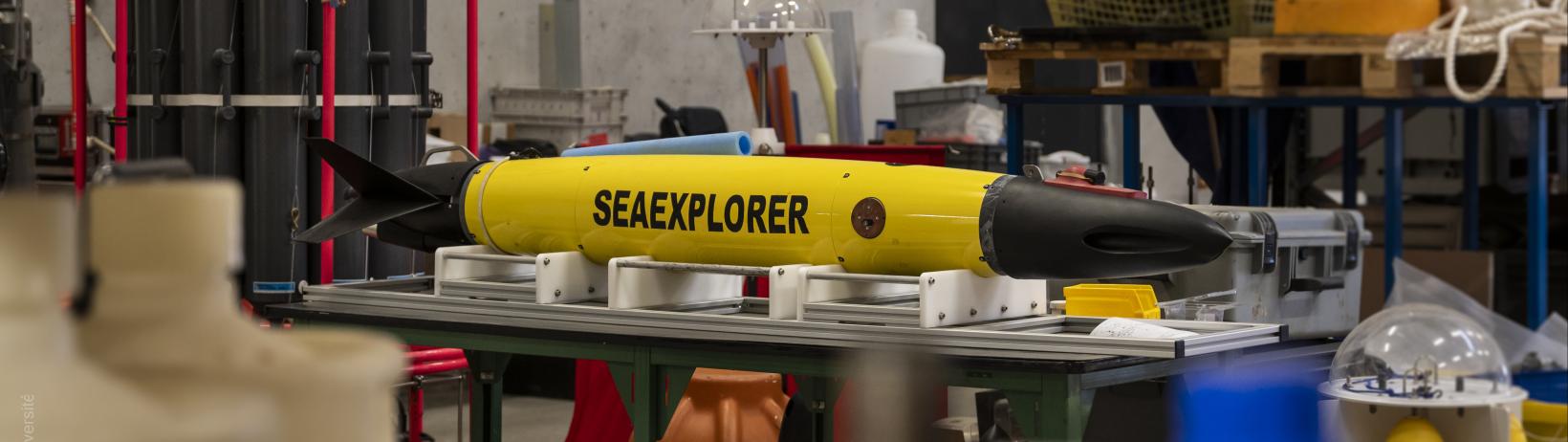 Institut Ocean partnerships - Credit: Elea Ropiot amU